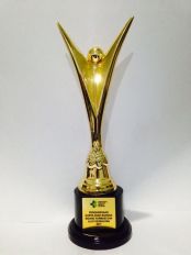 Karya Anak Bangsa 2017 Piala